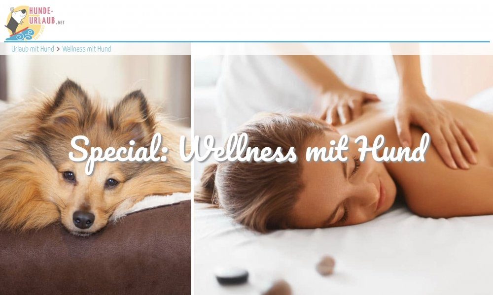 Wellness Mit Hund Verwöhnhotels Auf Hunde Presseportal Fair News 6742