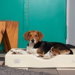 GEL- Hundebett von DoggyBed