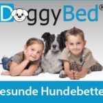 Gesunde Hundebetten