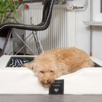 DoggyBed GEL Compact Style