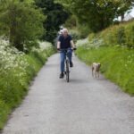 Die Fahrgeschwindigkeit sollte der Laufgeschwindigkeit des Hundes angepasst sein. (Bildquelle: ERGO Group)