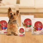 Purina ONE® MINI: maßgeschneiderte Ernährung für kleine Hunde (Bildquelle: @Purina)