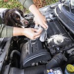 Immer wieder vergreifen sich Marder an Brems- oder Kühlwasserschläuchen von Autos. Foto: HUK-COBURG