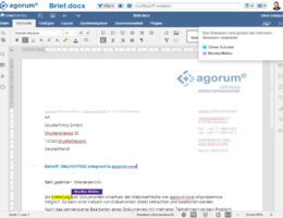 Benutzeroberfläche der webbasierten Digitalisierungsplattform agorum core