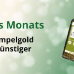 Tee des Monats - Bio Tempelgold