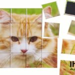 magnet_puzzle_beispiel_katze-fotopuzzle-buttonorder-90e26455