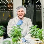 Growexperten kümmern sich um Deine CBD-Pflanzen (Bildquelle: Cannergrow)