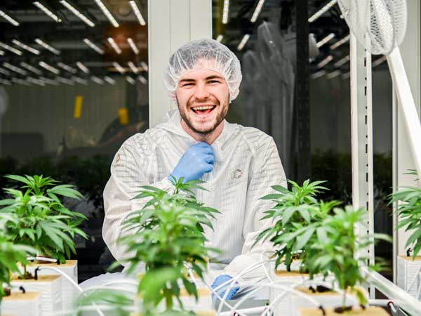 Growexperten kümmern sich um Deine CBD-Pflanzen (Bildquelle: Cannergrow)