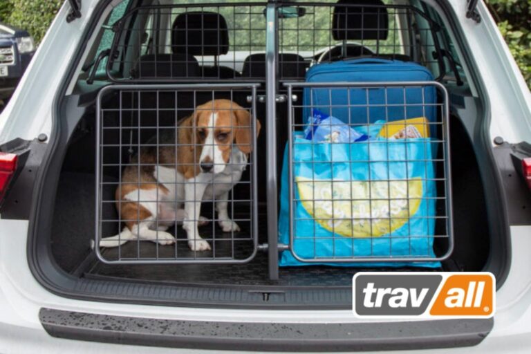 Urlaub mit Hund 2021 Das Auto auf Abenteuer nach dem Lockdown