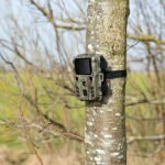 VisorTech Full-HD-Wildkamera WK-430.mini mit PIR-Sensor