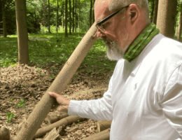 Wolfgang Goese - treeme - Baumfairmögen: edles Holz für edle Gitarren