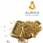 Aurax Edelmetallhandel GmbH