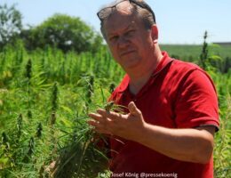 Wenzel Cerveny fordert Weihnachtsamnestie für Cannabis-Verurteilte (Bildquelle: @Foto: Josef König für CVB)