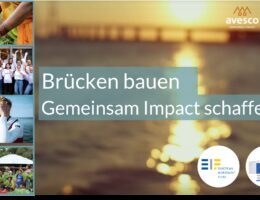 Impact Investing mit Risikoteilabsicherung