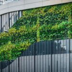 Der "Wealthcore Green Impact Fonds" setzt auf Langfristigkeit und nachhaltige Renditen (c) Unsplash