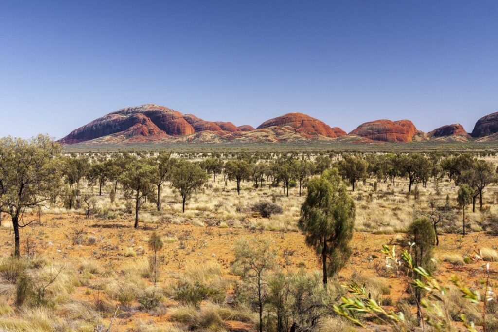 Zentralaustralische Landschaft; Foto: Depositphotos