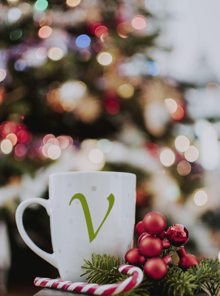 Vegane Weihnachten (Die Bildrechte liegen bei dem Verfasser der Mitteilung.)