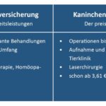 (© Grafik: vs-vergleichen-und-sparen GmbH)