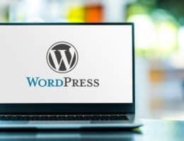 Die Vorteile einer professionellen WordPress-Website