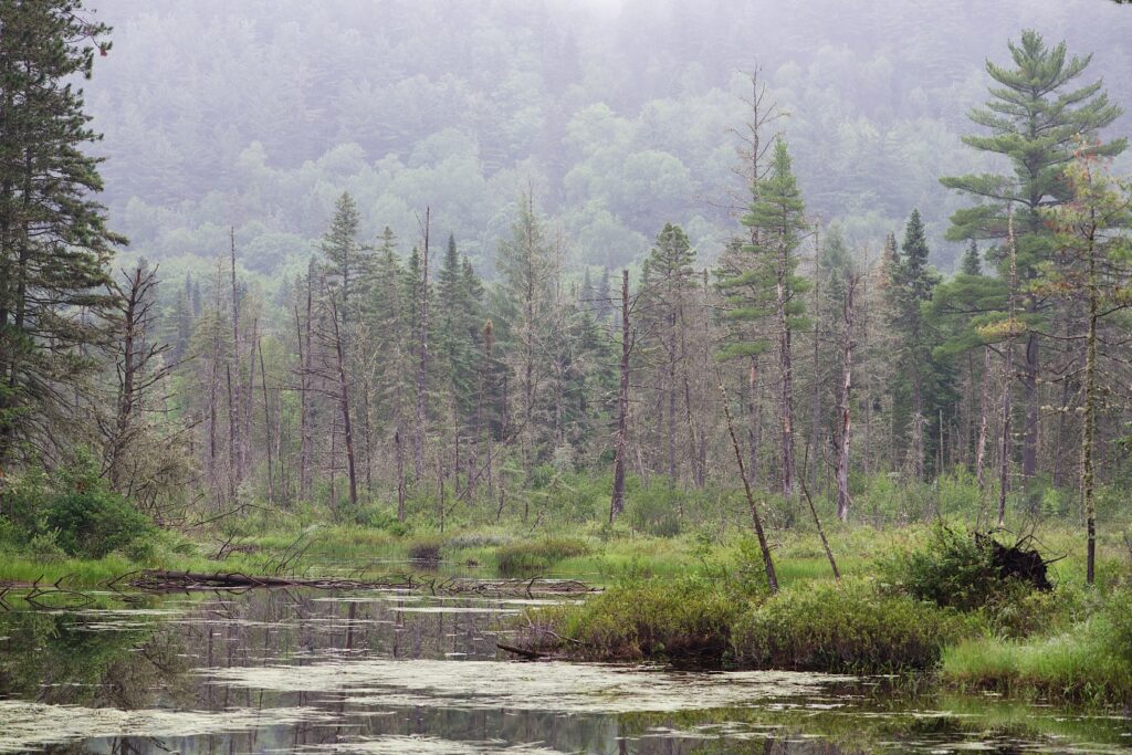 Landschaft im kanadischen Québec; Quelle: Depositphotos