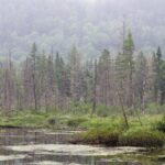 Landschaft im kanadischen Québec; Quelle: Depositphotos