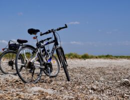 Zwei Drittel aller Deutschen nutzen das Fahrrad regelmäßig für Ausflüge und Reisen. (Bildquelle: @Pixabay)