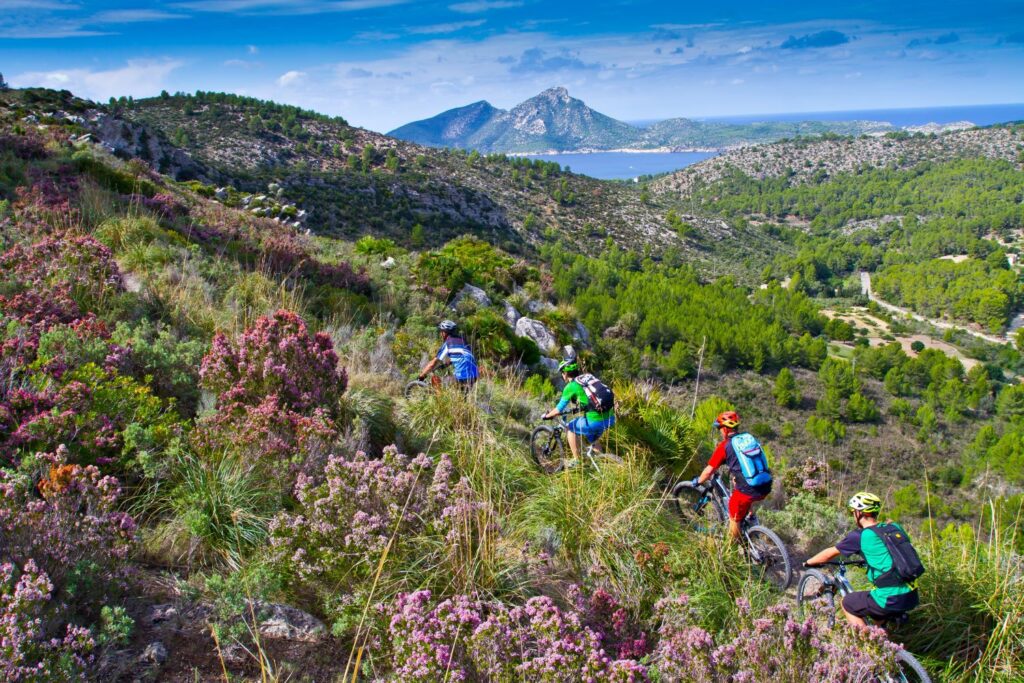 Serra de Tramuntata