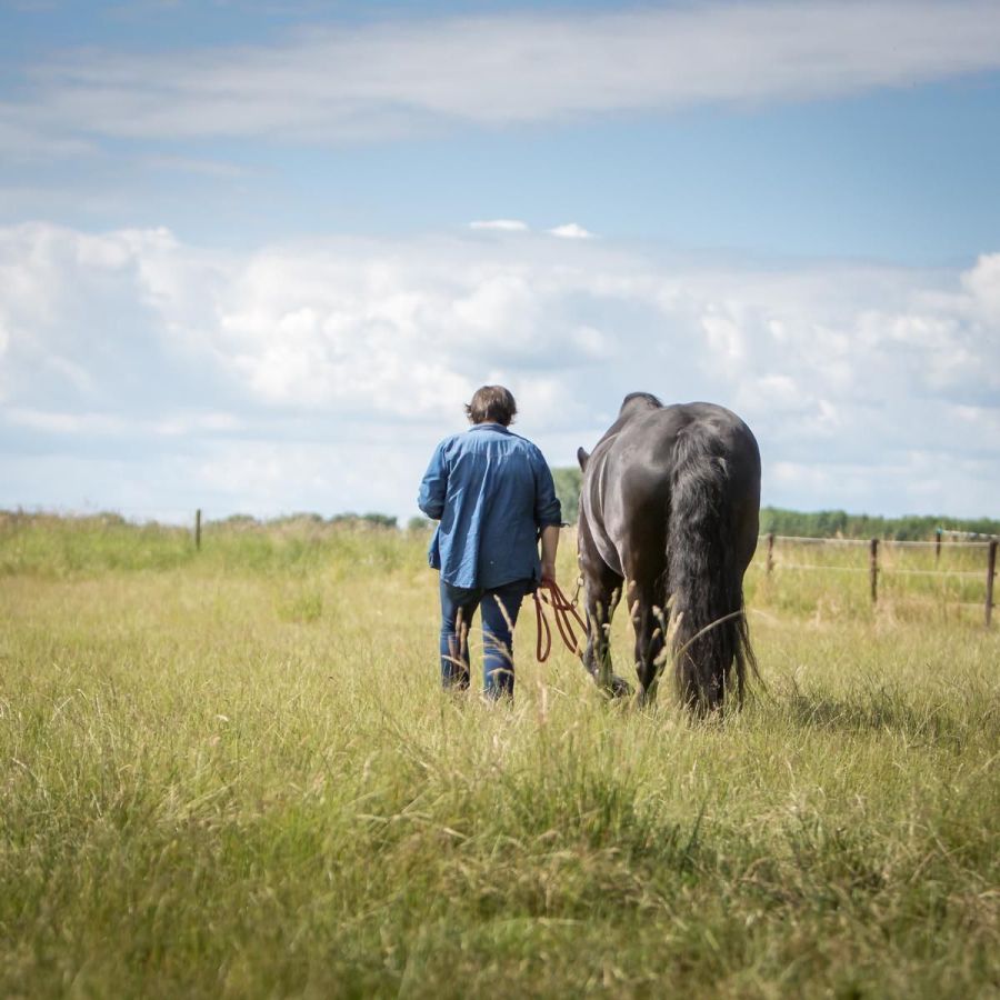 Trauerbegleitung mit Pferd (© Anabel Schröder)