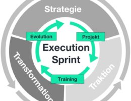 Execution Sprints sind digitale Projekte für cross-funktionale Teams und reale Business Cases (Die Bildrechte liegen bei dem Verfasser der Mitteilung.)