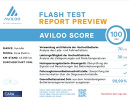 FLASH Test Report Preview (Die Bildrechte liegen bei dem Verfasser der Mitteilung.)