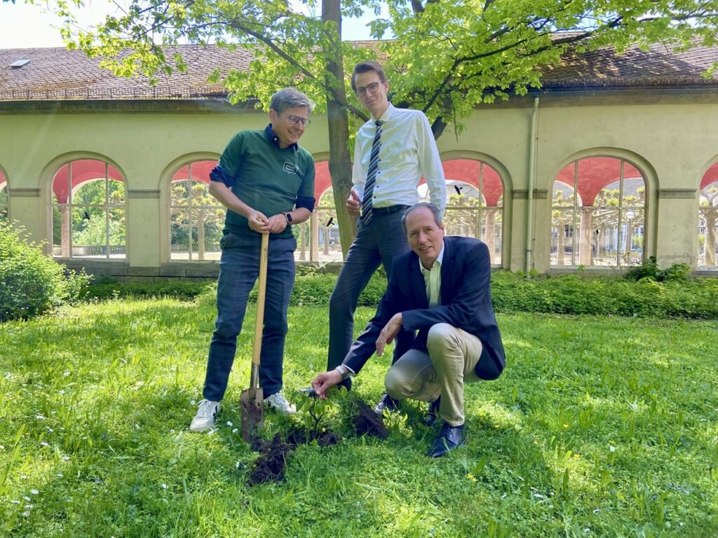 Baumpflanz-Aktion mit dem klimafairein e. V. auf dem Hotelgelände des Dolce by Wyndham Bad Nauheim. (Bildquelle: Dolce by Wyndham Bad Nauheim)