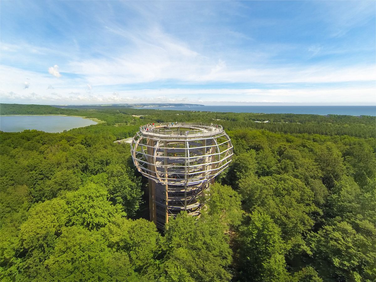 Der "Adlerhorst" im Naturerbe Zentrum Rügen  (© NEZR | Erlebnis Akademie AG)