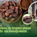 Farmers Future - Kakao Krise als Wirtschaftsproblem (Die Bildrechte liegen bei dem Verfasser der Mitteilung.)