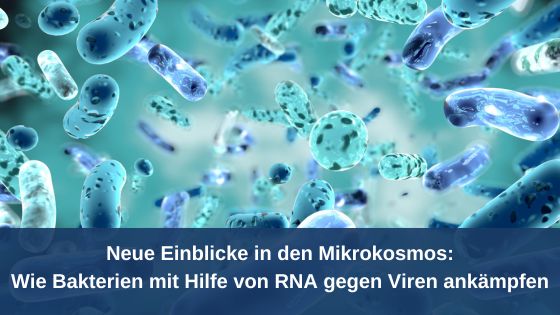 Neue Einblicke in den Mikrokosmos / Redaktion bioresonanz-zukunft.de (Die Bildrechte liegen bei dem Verfasser der Mitteilung.)