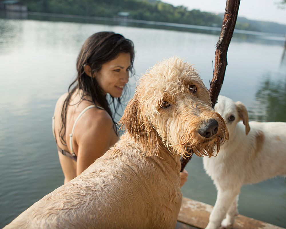 Naturalis Trockenbarf Hundefutter im Urlaub (Bildquelle: @ envato)