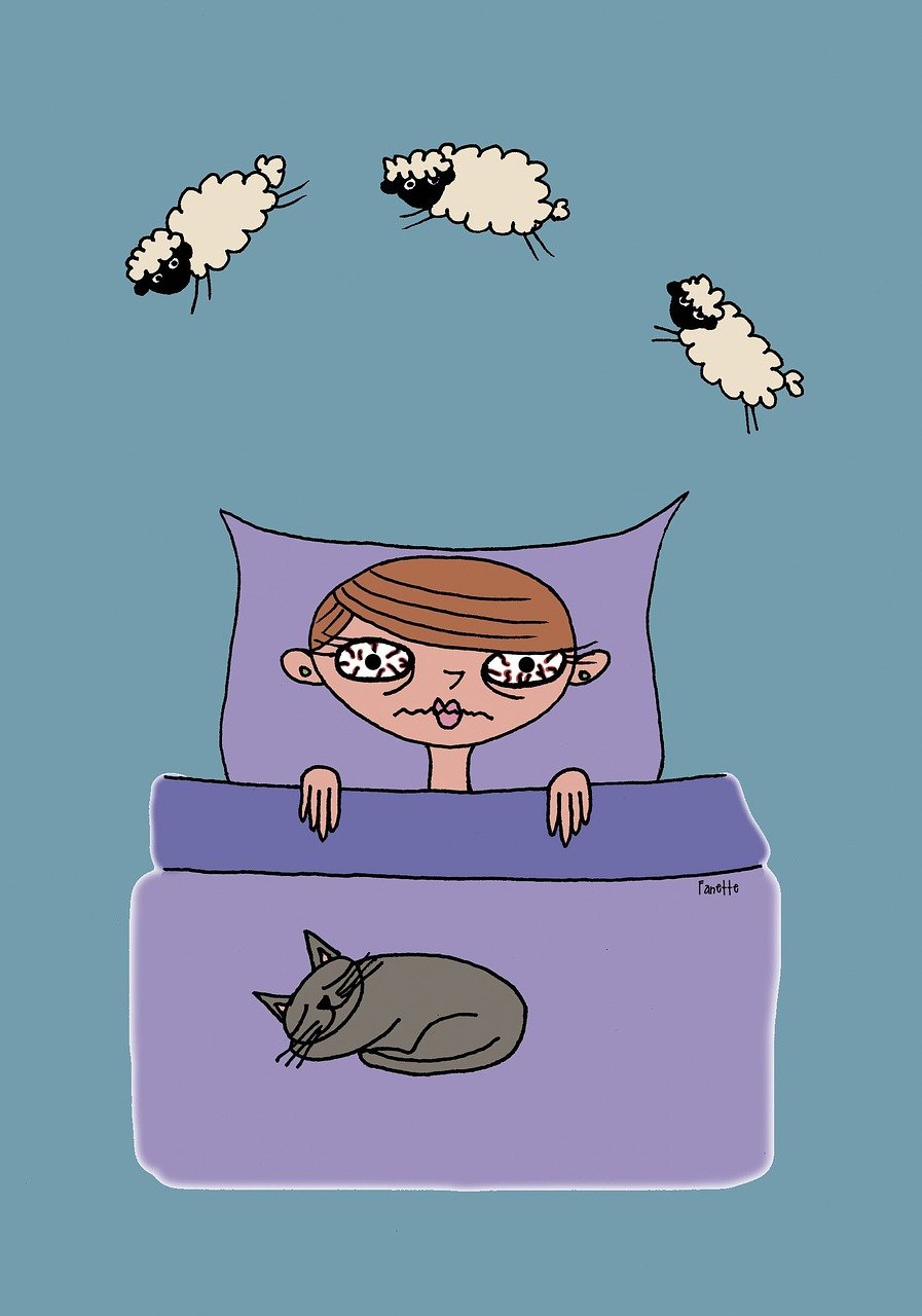Insomnie - Schlaflosigkeit - Ayurveda (Die Bildrechte liegen bei dem Verfasser der Mitteilung.)