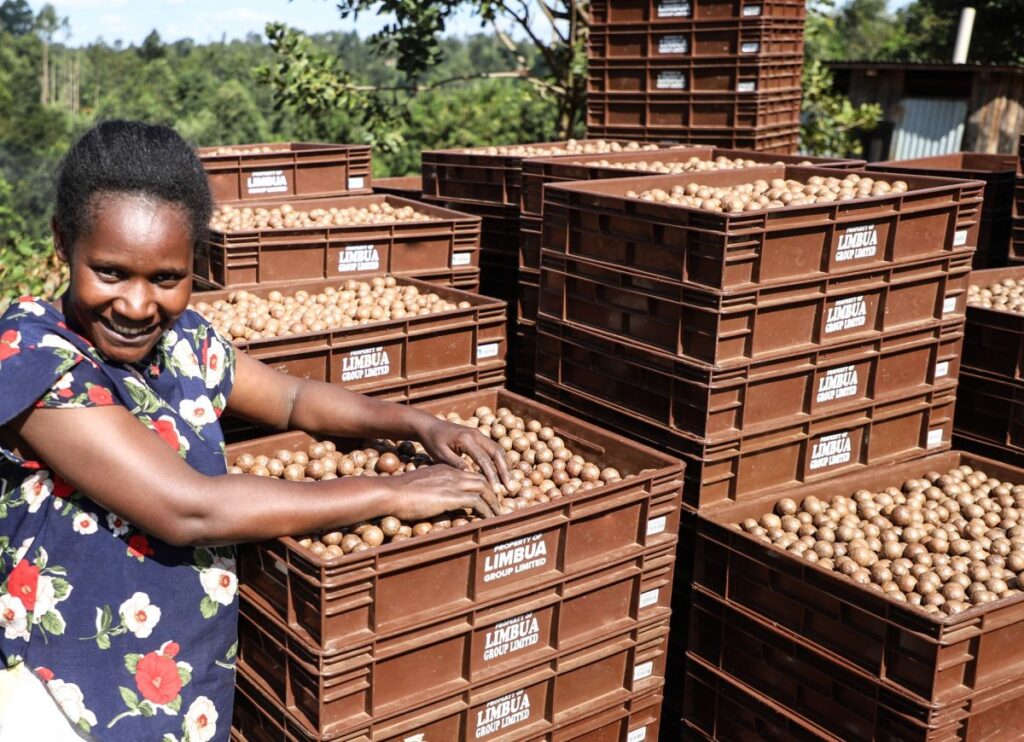 Stenkamp/Limbua - Partner in nachhaltiger Logistik (© Limbua GmbH)