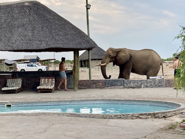 Elephant Sands Lodge