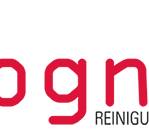 BGN Reinigungsservice GmbH in Wien und Niederösterreich (Die Bildrechte liegen bei dem Verfasser der Mitteilung.)