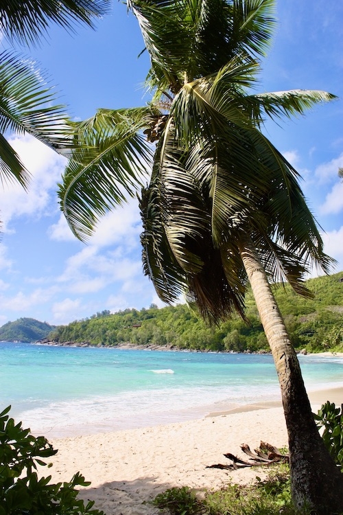 Anse Takamaka auf Mahé (Die Bildrechte liegen bei dem Verfasser der Mitteilung.)