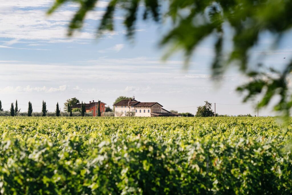 Cantina Buglioni