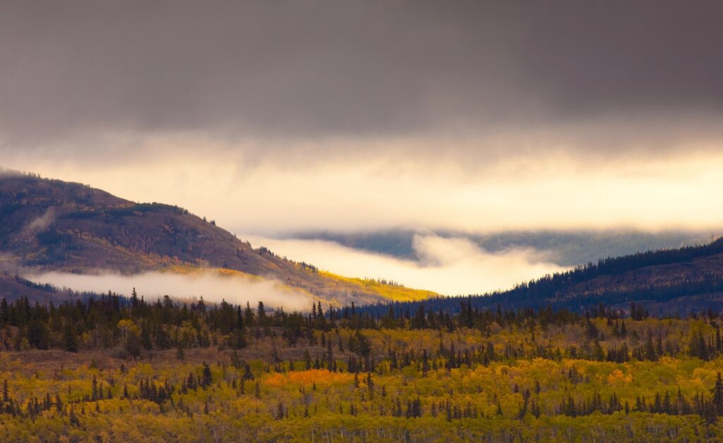 Landschaft im Yukon