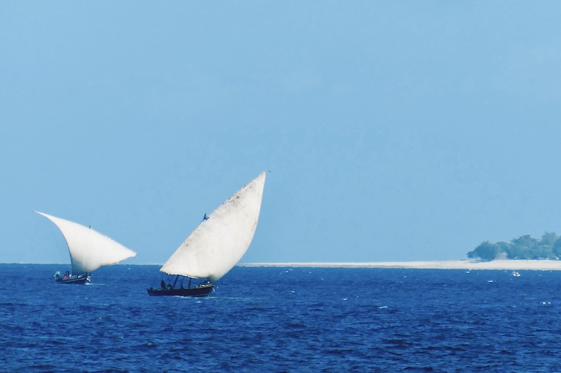 Dhaus - Segelboote vor Sansibar (Die Bildrechte liegen bei dem Verfasser der Mitteilung.)