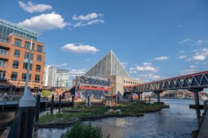 Harbor Wetland ist die neueste Attraktion in Baltimore. (Bildquelle: 2024 National Aquarium)