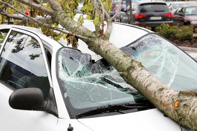 Herbststürme führen häufig zu hohen Schäden an Häusern und Autos. (Bildquelle: ERGO Group)