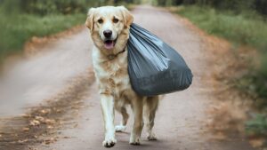 RE:CIRCLE ist stolzer Partner des UN World Cleanup Day 2024. (Die Bildrechte liegen bei dem Verfasser der Mitteilung.)