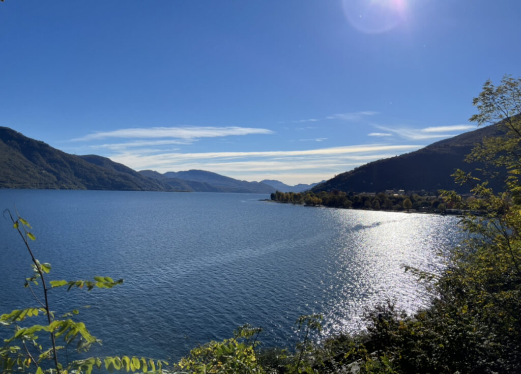 Lakeview pur: Blick auf Cannobio und den Lago Maggiore vom Lakeview Cannobio Camping resort (Die Bildrechte liegen bei dem Verfasser der Mitteilung.)