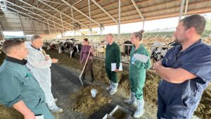 Gemeinsamer AVA- Fütterungscontrolling-Workshop im Milchkuhbetrieb