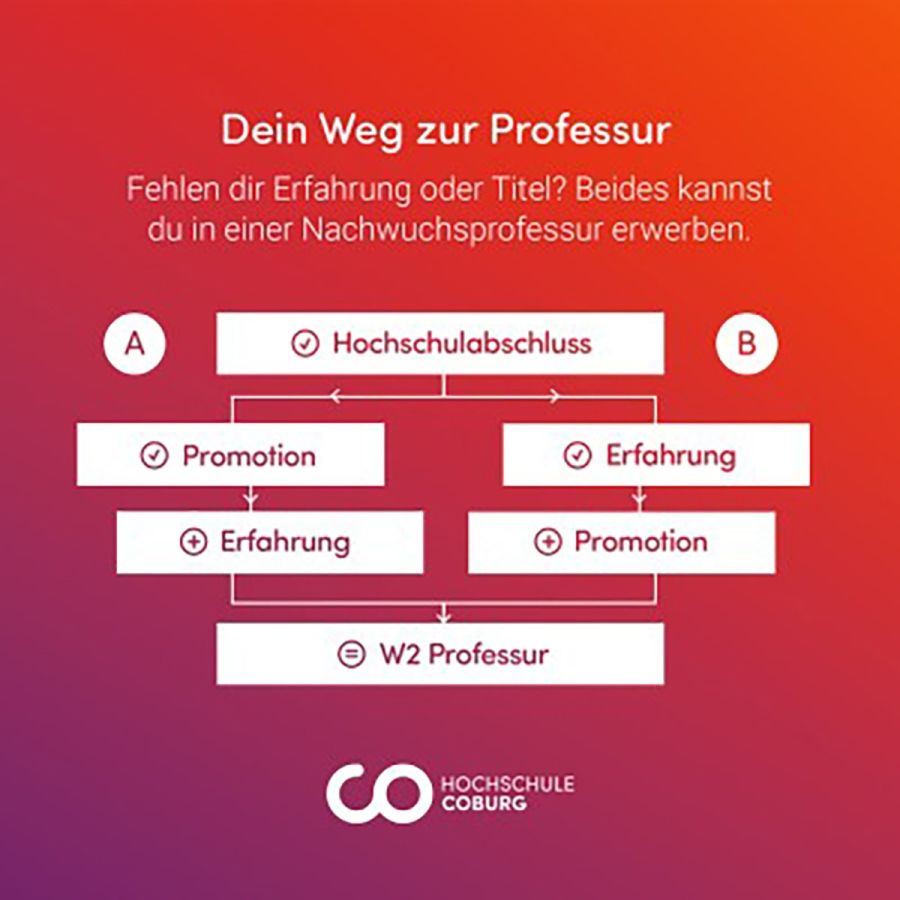 Der Weg zur Professur (© Impetus)