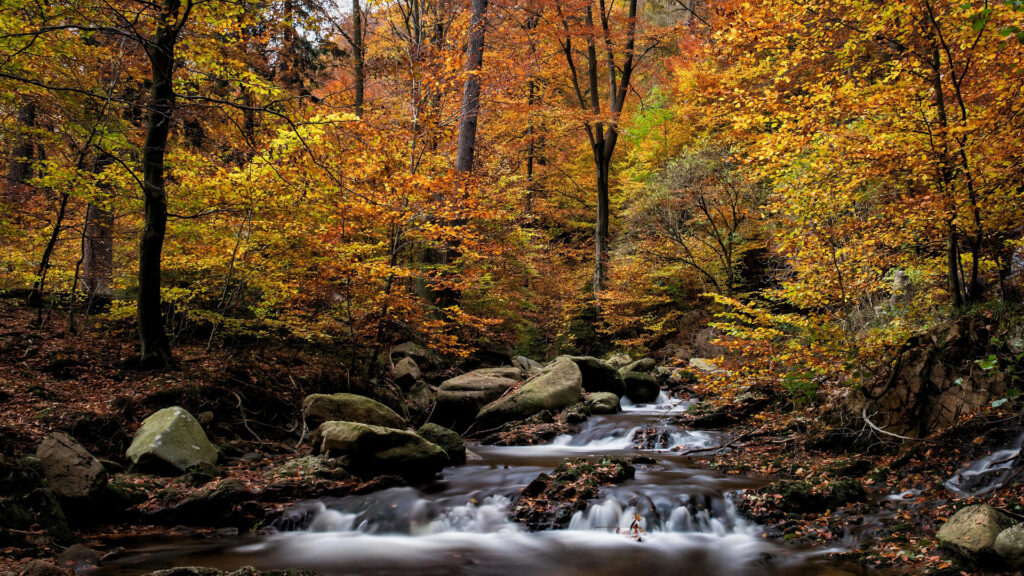 Herbst-PR